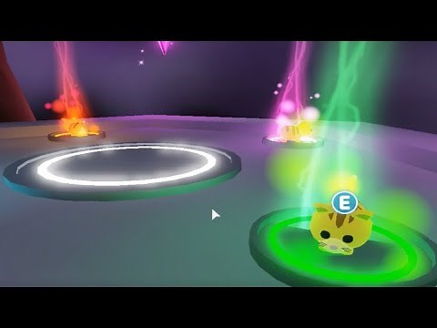 OMG First NEON Ginger Cat in Adopt me on Roblox