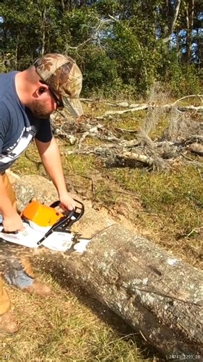 15K views · 143 reactions | Making Firewood With the Stihl MS462 #firewood #makingfirewood #wood #trees | The Kelley's country life | Facebook