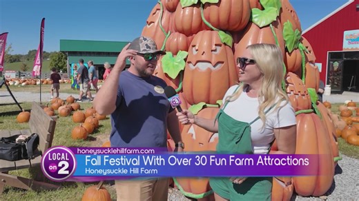 Honeysuckle Hill Farm: Fall Fun