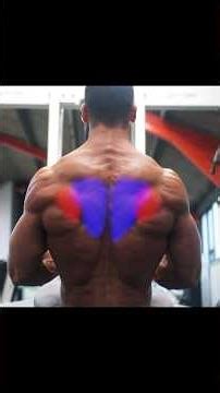 Recommended Back Day Exercise - Seated Cable Row