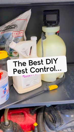 ➡️ Link to all the DIY Pest Control stuff in my Amazon Store (Bio): https://geni.us/TalakPestControl I apply this stuff about once a month but it could probably get pushed to every 60 days. I’ll also spread granular in the yard a couple times a season for safe measure. This stuff has been great and replaced paying a company. I don’t get any bugs inside and no chemicals inside which is nice 👍 #BuilderBrigade #pestcontrol #diypestcontrol #homemaintenance | Builder Brigade