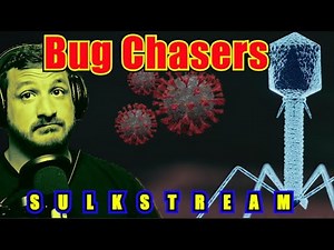 Sulk Stream #506 Bug Chasers