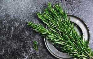 5 BEST Substitutes for Lavender 2026