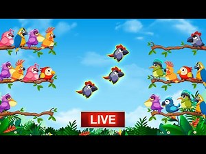 Bird Sort: Color Puzzle Game All Level Gameplay - Live Stream subway surfers