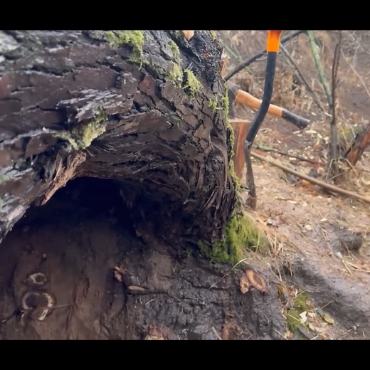 89K views · 3K reactions | Building a secret survival dugout under a fallen tree #wildlivingalone #camping #wildlifelivingalone #wildlifesolo #WildlifeSurvival #fyp #wildcamping #OutdoorAdventure | Foji Production | Facebook