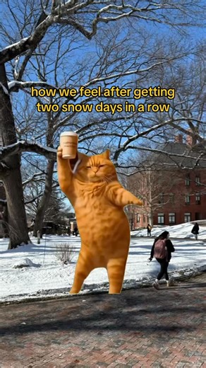We love snow days | Framingham State University