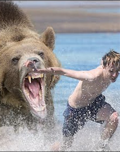 77K views · 425 reactions | 24 Crazy Incidents Of Animals Mercilessly Attacking Other Animals Caught On Camera 蘆vs | Beautiful Animals | Facebook