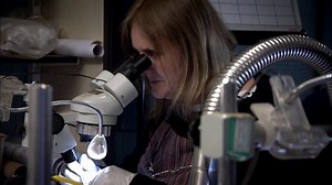 New conservation technique