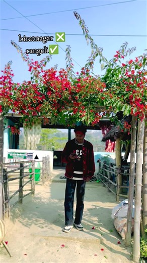 #grothmyaccount #check_my_dp_photography_by_suresh #unfrezzmyaccount #fybシviral #goviral