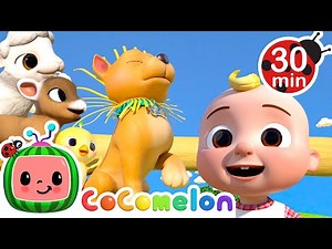 Old MacDonald (Baby Animal BINGO Version) | CoComelon Animal Time - Learning with Animals