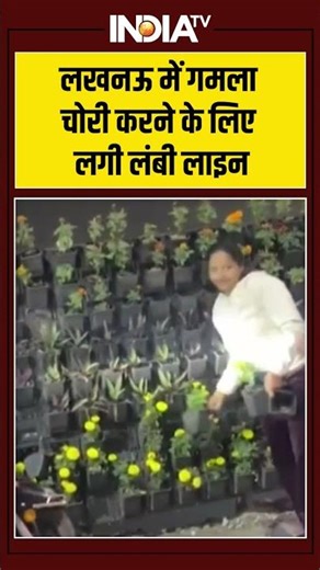 लखनऊ में गमला चोरी करने के लिए लगी लंबी लाइन #pmmodi #lucknow #atalbiharivajpayee