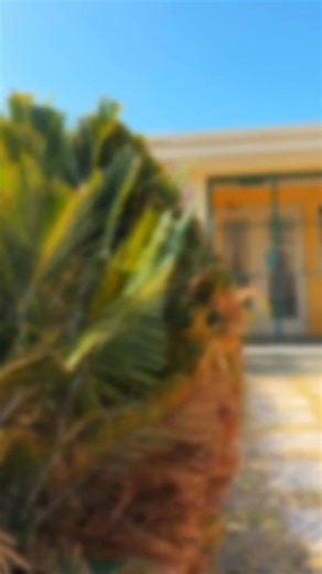 The stage is set. Welcome to the official Media Launch of the 2025 Red Stripe Jamaica Elite League — join us for a morning of vibes, fun and the start of a promising season! #RSJEL2025 #NetballElite | Netball Jamaica