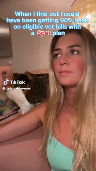 Spot Pet Insurance Reviews and Comparisons - Take Care of Your Pets Without Worrying About Cost