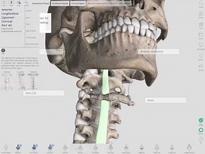 Complete Anatomy demonstration