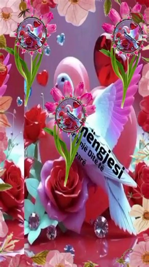 Helen Bobis (@helen.bobis7)’s videos with original sound - Natalie Garcia