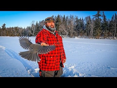 8 DAYS BELOW ZERO: Moosehead Lake Ice Fishing and Winter Camping Day 3