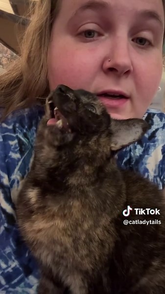 Best Gremlin Sounds Compilation: Which One is Your Favorite?