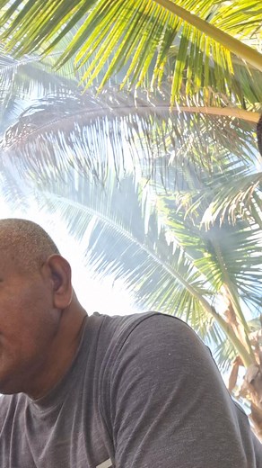 1.2K views · 29 reactions | Tikotani's Timeless Flash on Reels | Facebook