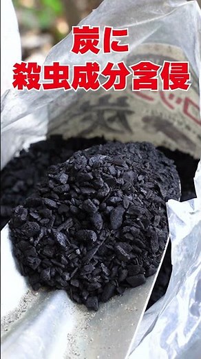 【撒くだけの虫対策】ムカデ ヤスデ ダンゴムシ アリの侵入防止 炭に殺虫成分を含侵 虫除け効果 除湿消臭 土壌改良にも #shorts #害虫駆除 #ムカデ