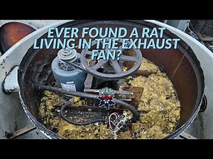 EVER FOUND A RAT LIVING IN AN EXHAUST FAN ?