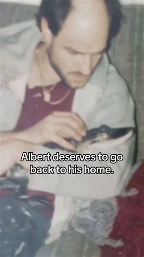 2.9M views · 17K reactions | Albert the alligator was seized from the...