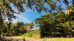 1.3K views · 28 reactions | Collaborative Performance Task Reading...