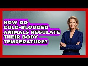 How Do Cold-Blooded Animals Regulate Their Body Temperature? | Reptilian Wonders