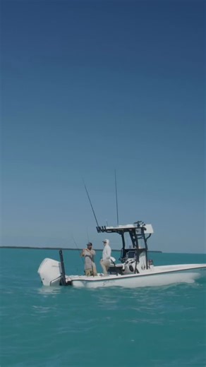 28 reactions | The whole purpose of being a guide! Local Knowledge S10:E5 “Key West Inshore Variety” Available Now on YouTube, Waypoint TV & Streaming apps | Local Knowledge | Facebook