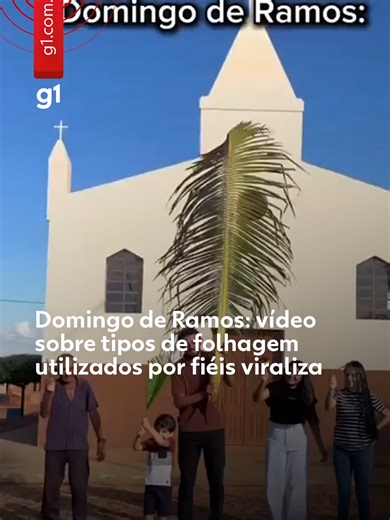 Domingo de Ramos - No Domingo de Ramos, católicos têm a tradição de levar ramos abençoados pela igreja para as celebrações de início da Semana Santa. Mas qual o tamanho ideal do ramo? Uma brincadeira feita por fiéis da Capela do Sagrado Coração de Jesus, da Paróquia Nossa Senhora dos Remédios, em Santa Filomena, no Sertão de Pernambuco, viralizou nas redes sociais. Também conhecida como Domingo da Paixão do Senhor, essa data é uma das mais tradicionais do calendário católico e é celebrada no últ