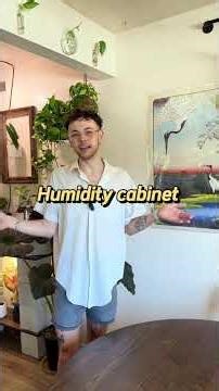 Guys…. Humidity is everything • #plant #plantsoftiktok #fyp #humidifier #houseplants