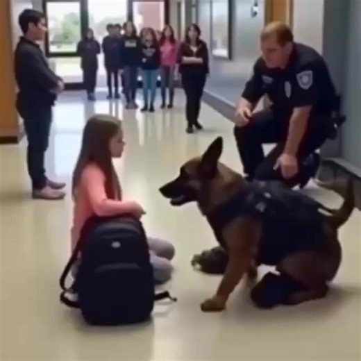 K9 Dog Refuses to Obey — What He Uncovers About the Student Shocks Everyon | Amy Lamb