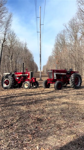 Embracing Old School Dreams of Farm Life