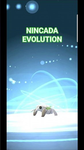 Nincada Evolution to Ninjask #pokemongo #nincada #ninjask #pokemonevolution