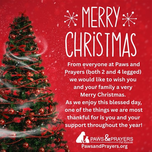 1.3K views · 25 reactions | Paws and Prayers Pet Rescue on Reels | Facebook