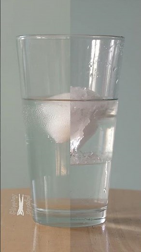 Time Lapse Demo: Melting Ice Does NOT Change Water Level