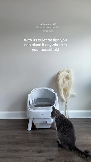 Benefits of Switching to a Self-Cleaning Litter Box
