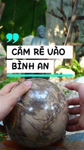 Nhìn là gỗ, chạm là đá, Sự thật khúc gỗ Kỷ Jura. #nhasantaynguyen #crystals #phongthuy