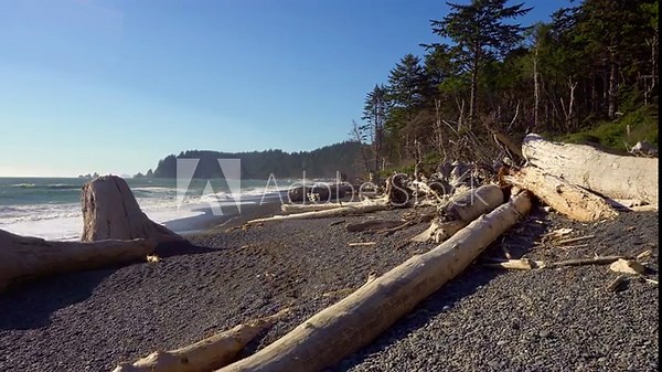 Walking on the Rialto Beach in Washington State with driftwood scattered along the pebbled shore and a forested coastline in the background. 4K UHD video.
