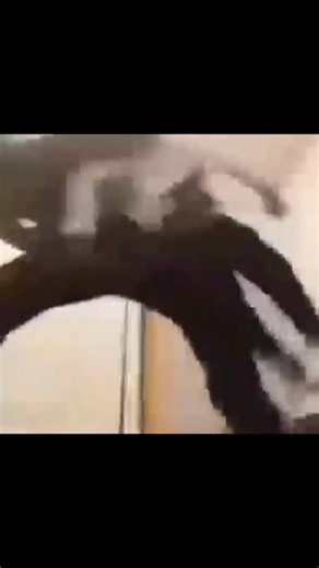 𝗟𝗢𝗡𝗘 𝗥𝗘𝗔𝗣𝗘𝗥 | 𝟬𝟭.𝟮𝟭.𝟮𝟲 on Instagram: "Trees in the forest are actually talking to each other via an “Underground Internet.” 🌳 Known as the “Wood Wide Web,” this network is made of tiny fungal threads. Trees use it to swap nutrients and warn each other about predators. If one tree is attacked by bugs, it sends a chemical SOS so neighbors can prep their defenses. Older “Mother Trees” even send sugar to younger, weaker saplings to help them survive. Nature is far more connected tha