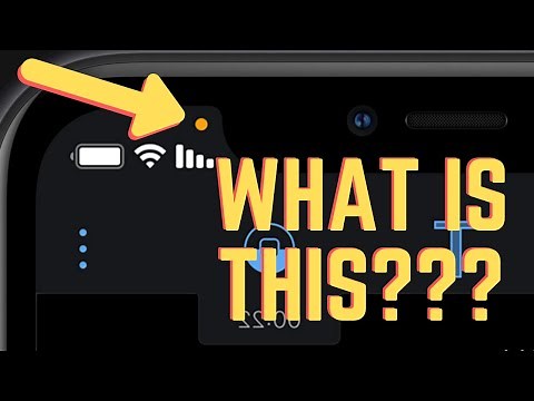 iPhone Red Dot When Calling (What Is Going On?) iOS 14.4