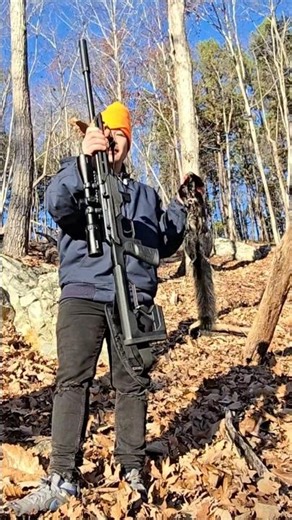 .22LR Long Rifle hunting fox squirrel#review #hunting #outdoors #squirrel