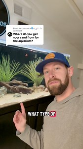 What type of sand substrate I use in my cichlid tanks - Carib Sea Sunset Gold Sand - https://bulkreefsupply.sjv.io/q45ZO5 - Carib Sea Crystal River Sand - https://bulkreefsupply.sjv.io/anv2PW - Carib Sea Aragonite Sand - https://bulkreefsupply.sjv.io/g1MgJr | Cichlid Bros