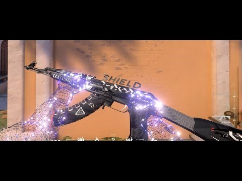 WTF! VALORANT CS2 SKİNS! | ft.Shieldhvh.com