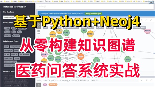 【2026知识图谱】实战保姆级教程：1小时带你基于Python Neo4j构建医药问答系统！环境配置 项目实战，附完整数据集！看完直接跑通！AI/大模型/NLP
