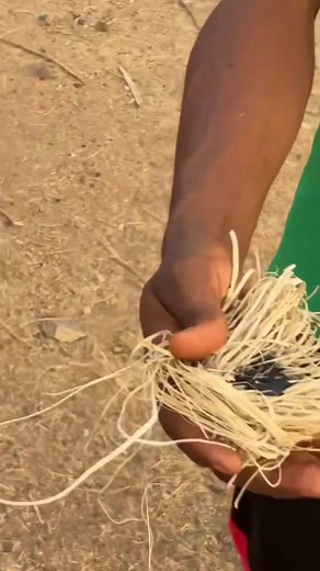 Understanding the Importance of Soap in Daily Life