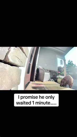 Dozer the Dog's Morning Howl Alarm