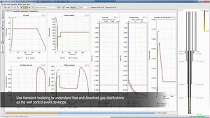 Well Control Simulation
