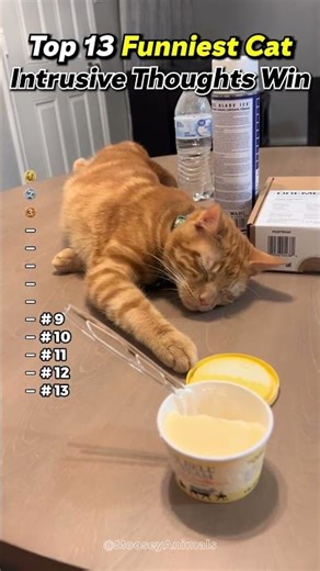 Intrusive Thoughts Win #transition