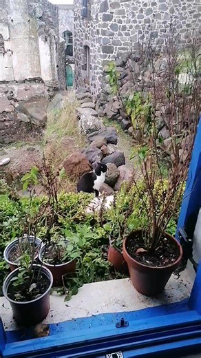 Olivier Delorme Romancier on Reels