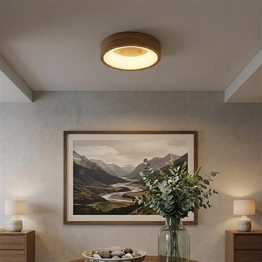 LED Ceiling Light With Remote Control, Dimmable Color Temperature Lamp 30/40/50CM, Modern Bedroom Living Room Ceiling Light - Etsy UK